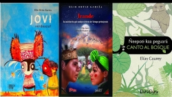 Lectura y miradas del pueblo guaraní: la nueva literatura infanto-juvenil